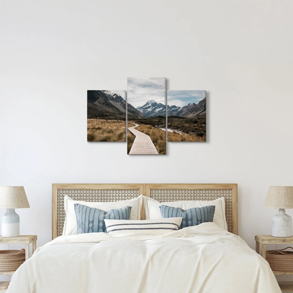 Tablou - Poteca în valea muntelui Mt. Cook (90x60 cm)