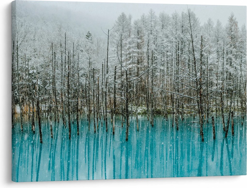 Tablou - Pescărie turcoaz, Biei, Japonia (70x50 cm)