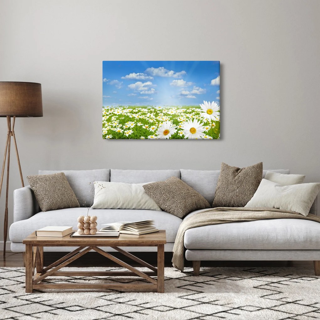 Tablou cu luncă înflorită cu margarete (90x60 cm)