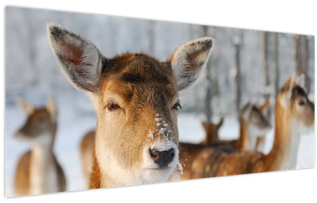 Tablou - Cerbi (120x50 cm)