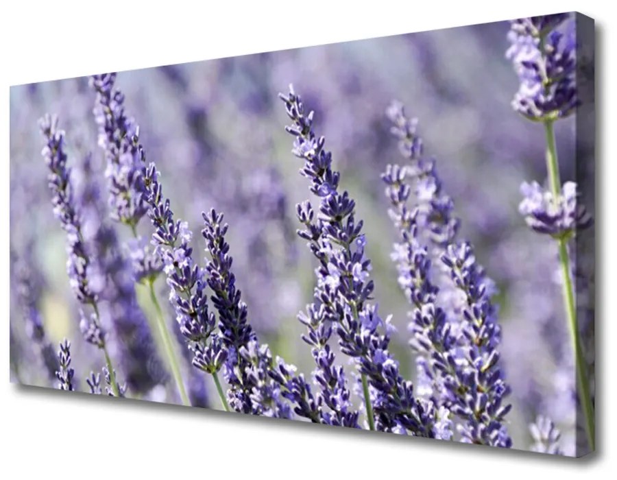 Tablou pe panza canvas Flori Floral violet