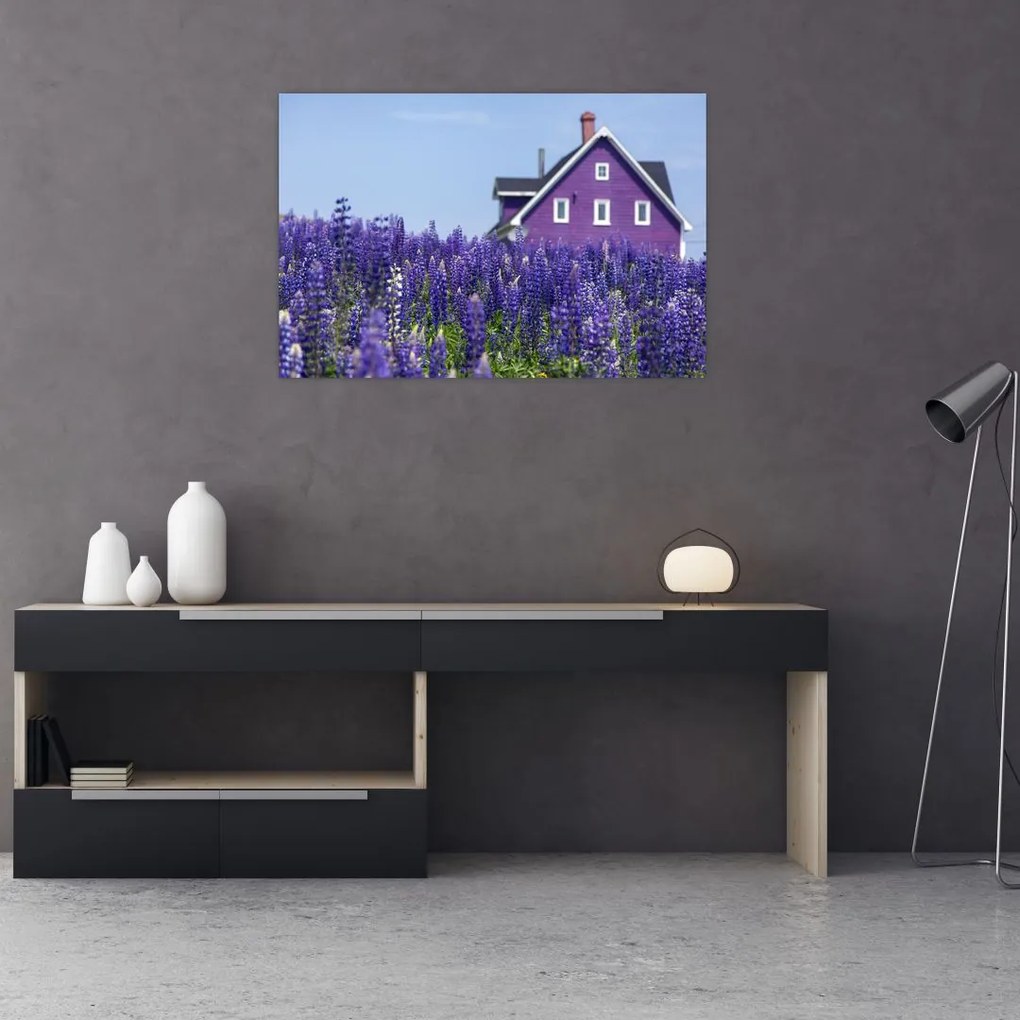 Tablou cu câmp de lavanda (90x60 cm)