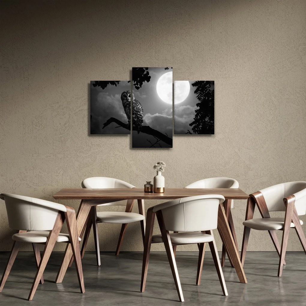 Tablou - Bufniță de noapte, alb și negru (90x60 cm)