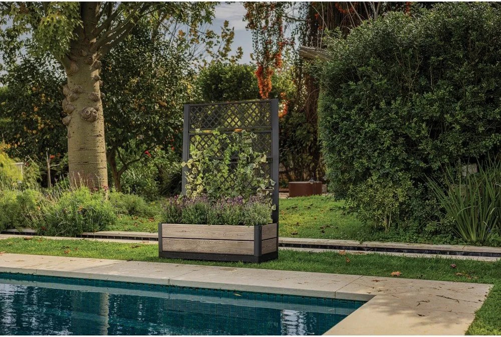 Pat ridicat de plante Deco – Keter