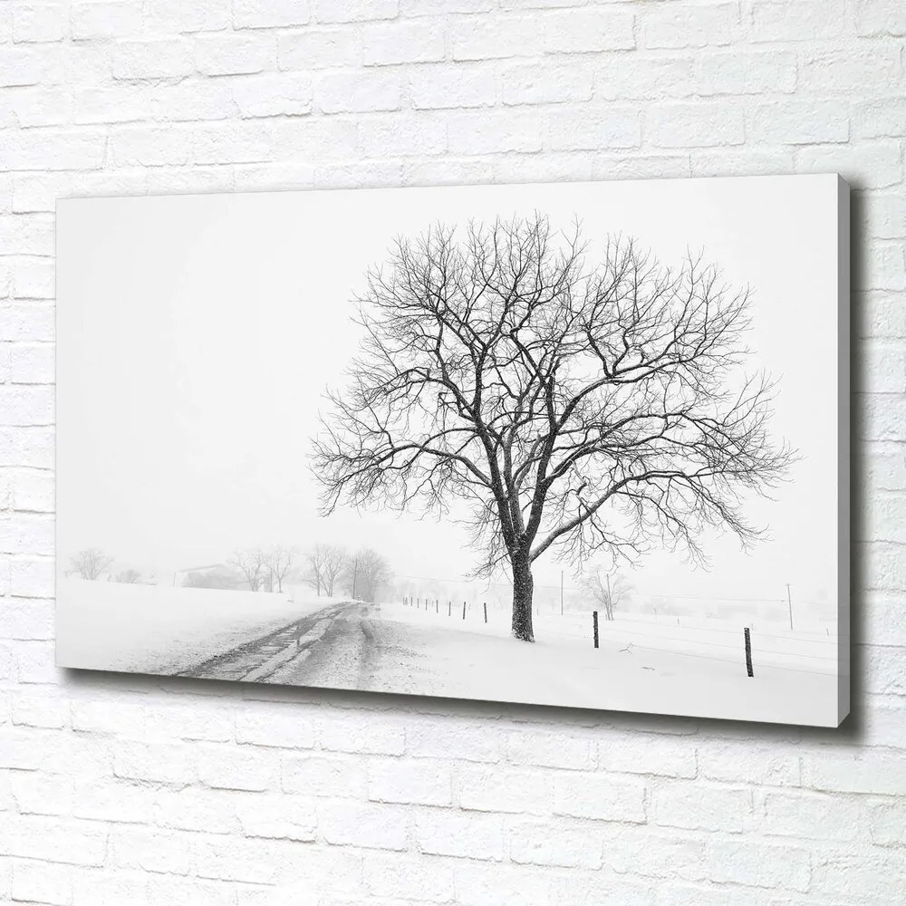 Print pe canvas Copac în timpul iernii