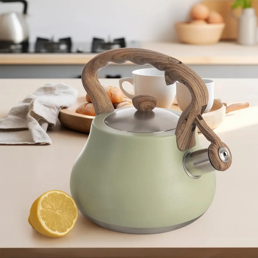 Orion Ceainic cu fluier Greenish, 3 l