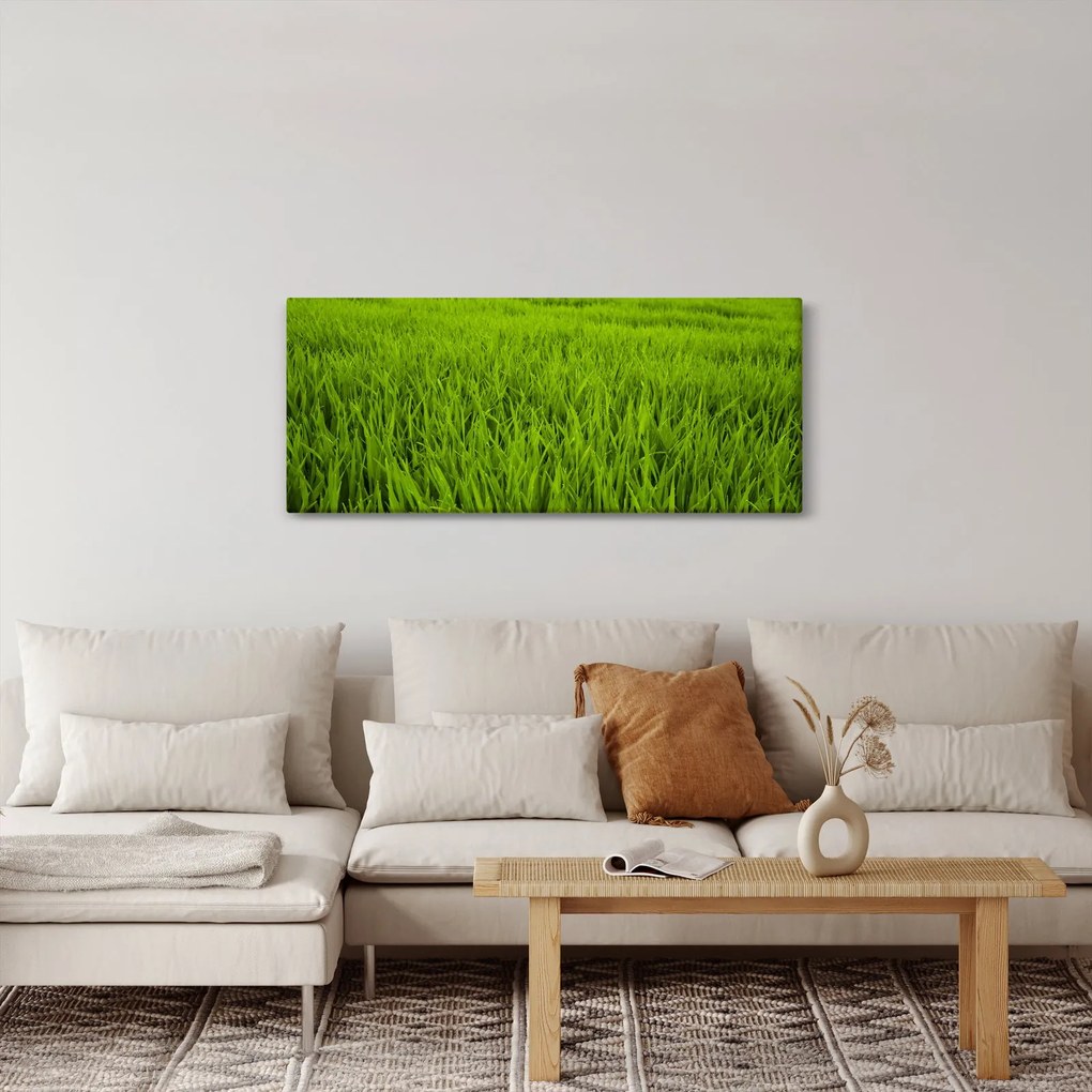 Tablou cu iaraba (120x50 cm)