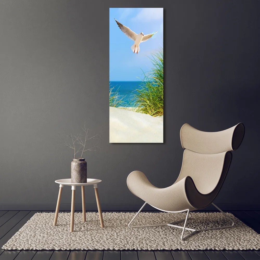 Imprimare tablou canvas Seagull peste dune