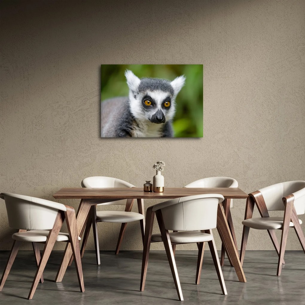 Tablou cu lemur (70x50 cm)