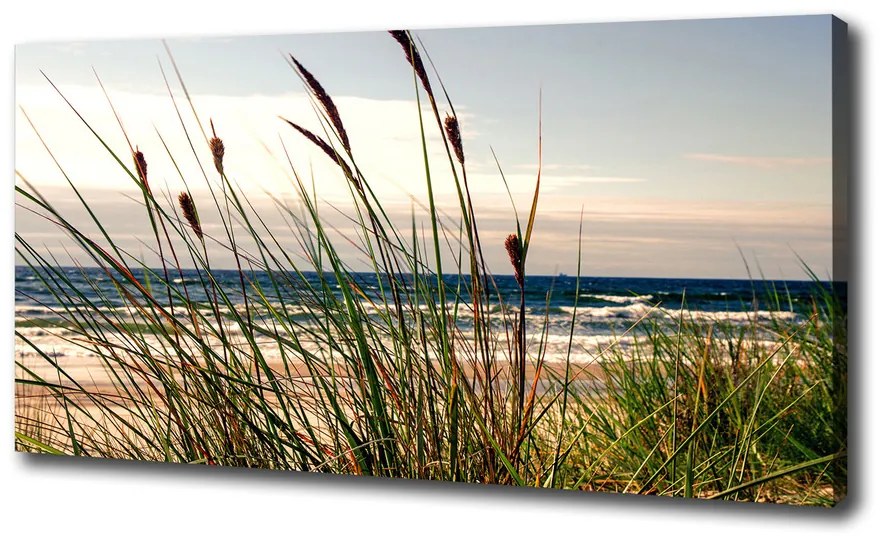 Tablou pe pânză canvas Dune de coastă