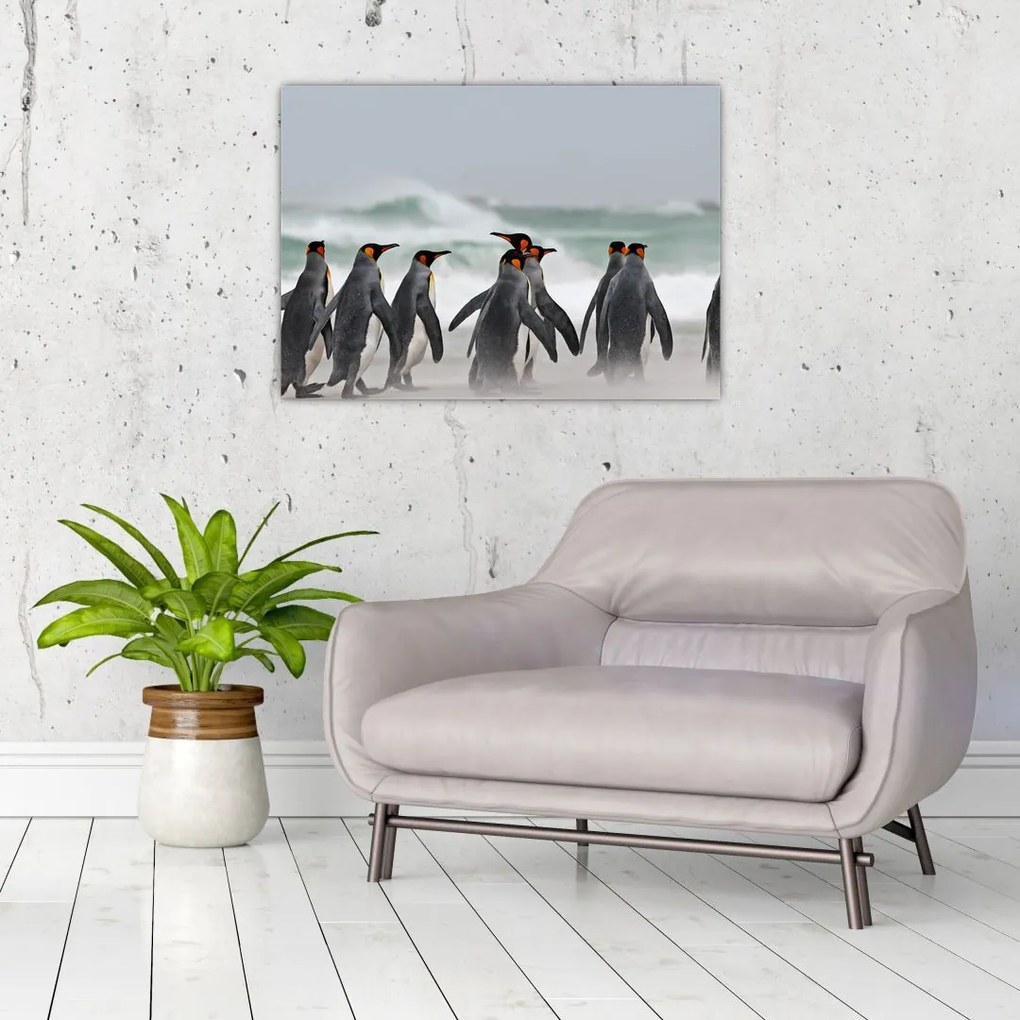 Tablou pe sticlă pinguini în ocean (70x50 cm)