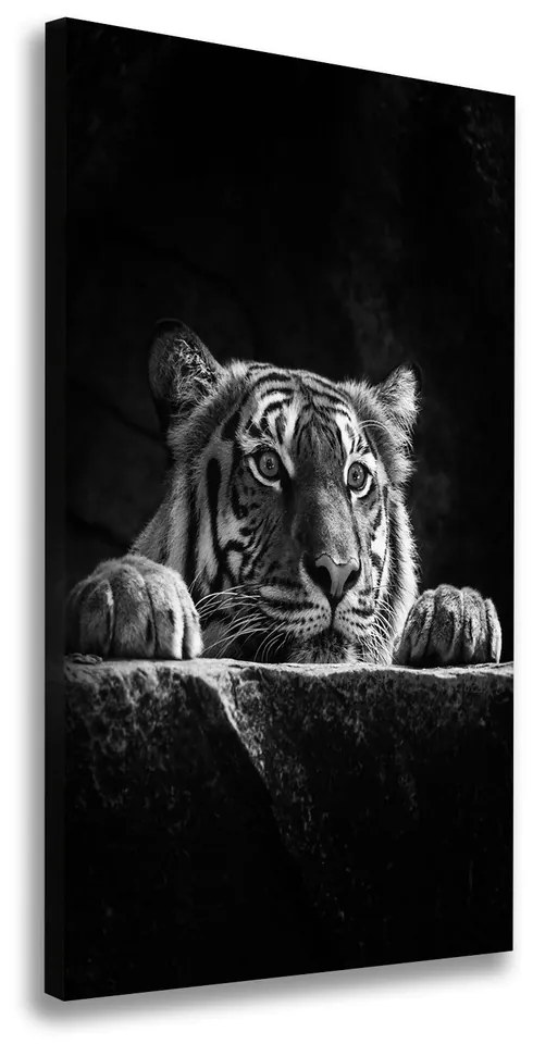 Tablou canvas Tigru