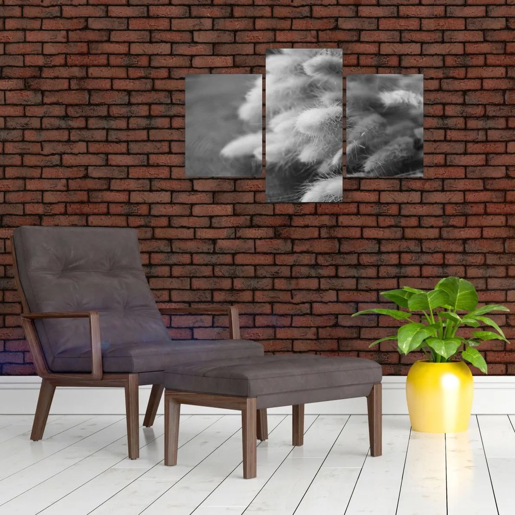 Tablou - iarbă de coadă de iepure pe masă (90x60 cm)