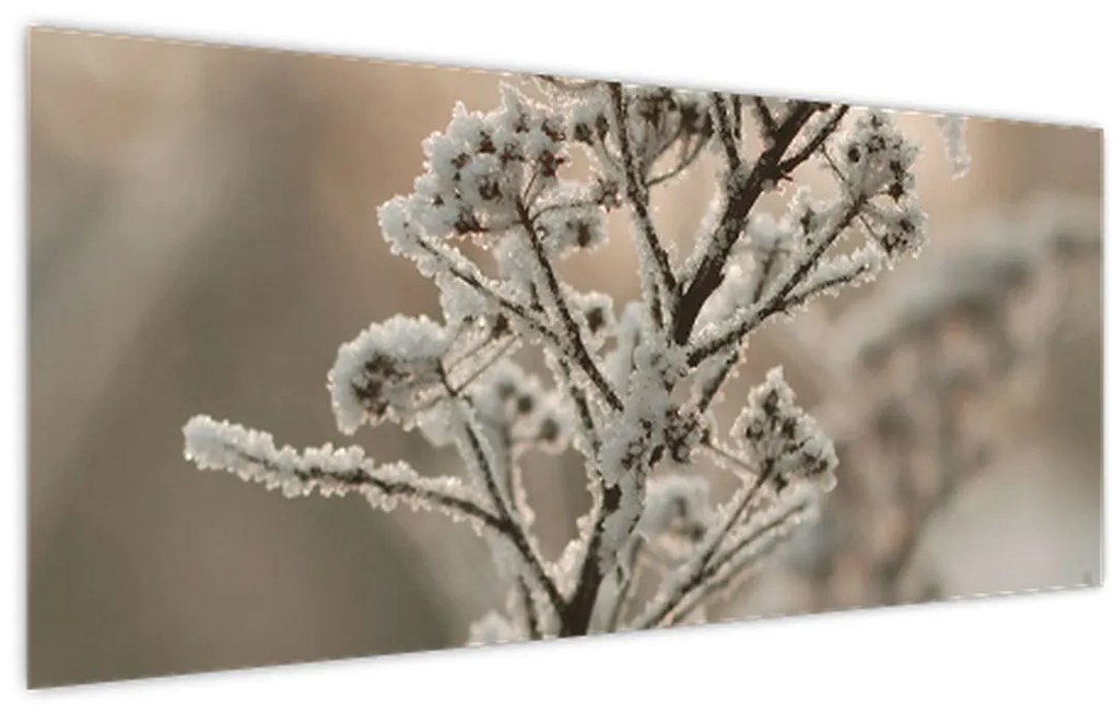Tablou - Plantează în îngheț (120x50 cm)