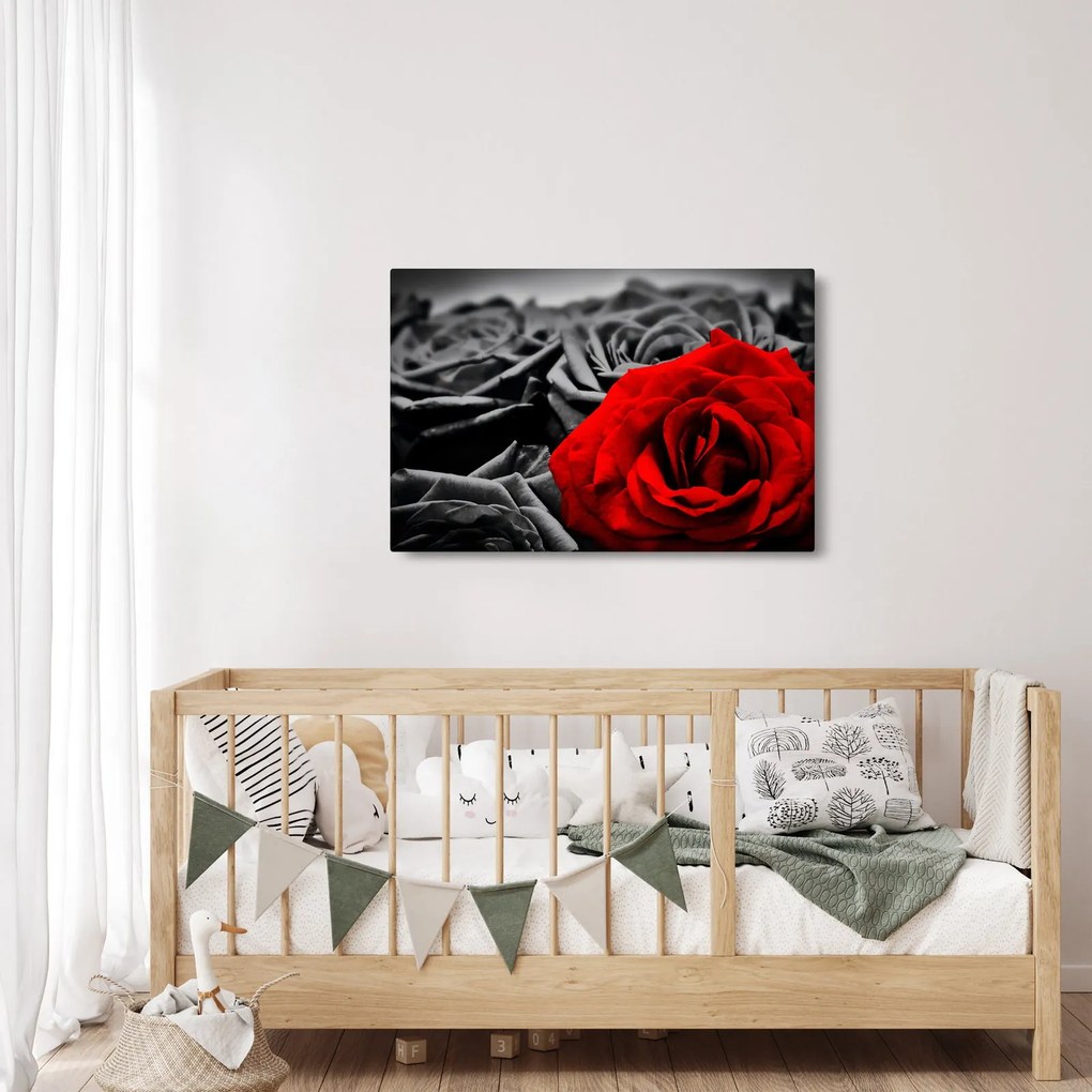 Tablou - Trandafir (90x60 cm)