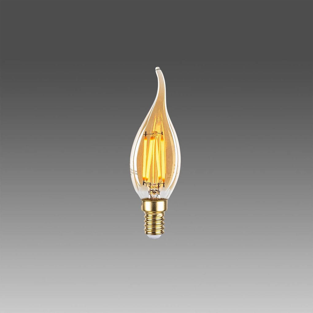 Bec cu Led OP - 021