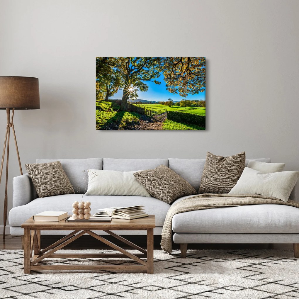 Tablou Privire la câmp (90x60 cm)
