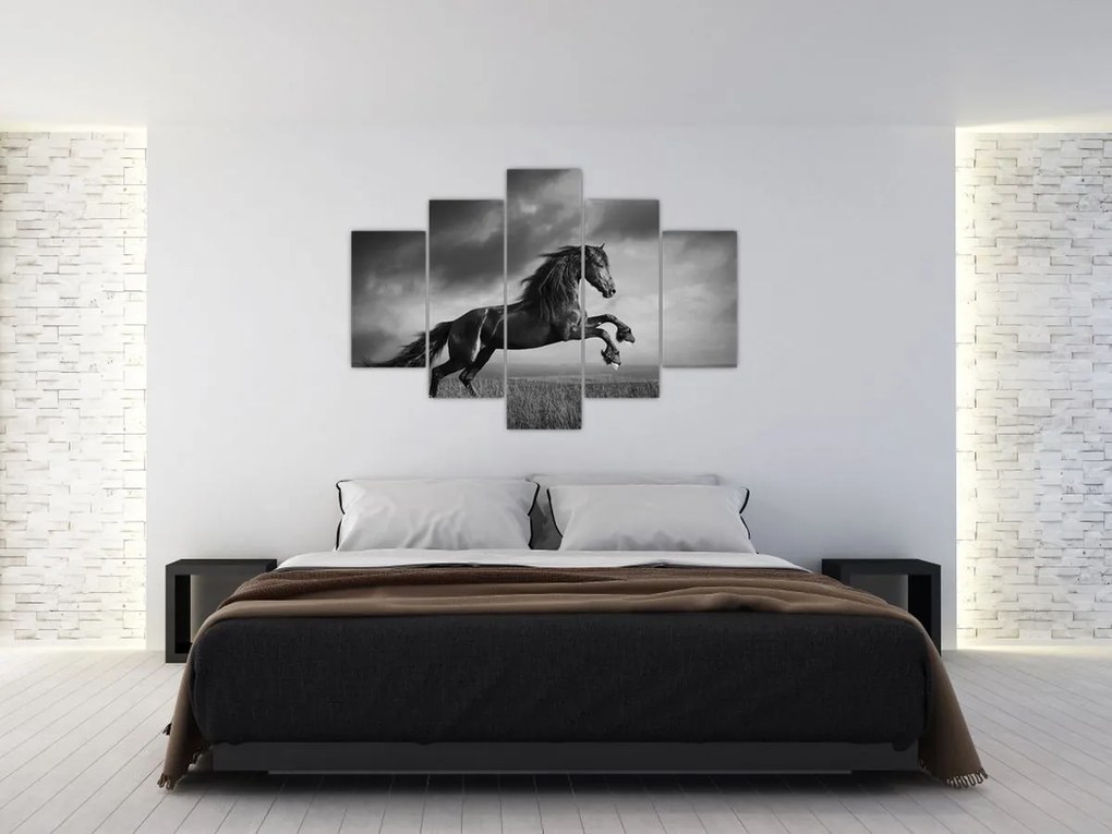 Tablou - Cal alb și negru (150x105 cm)
