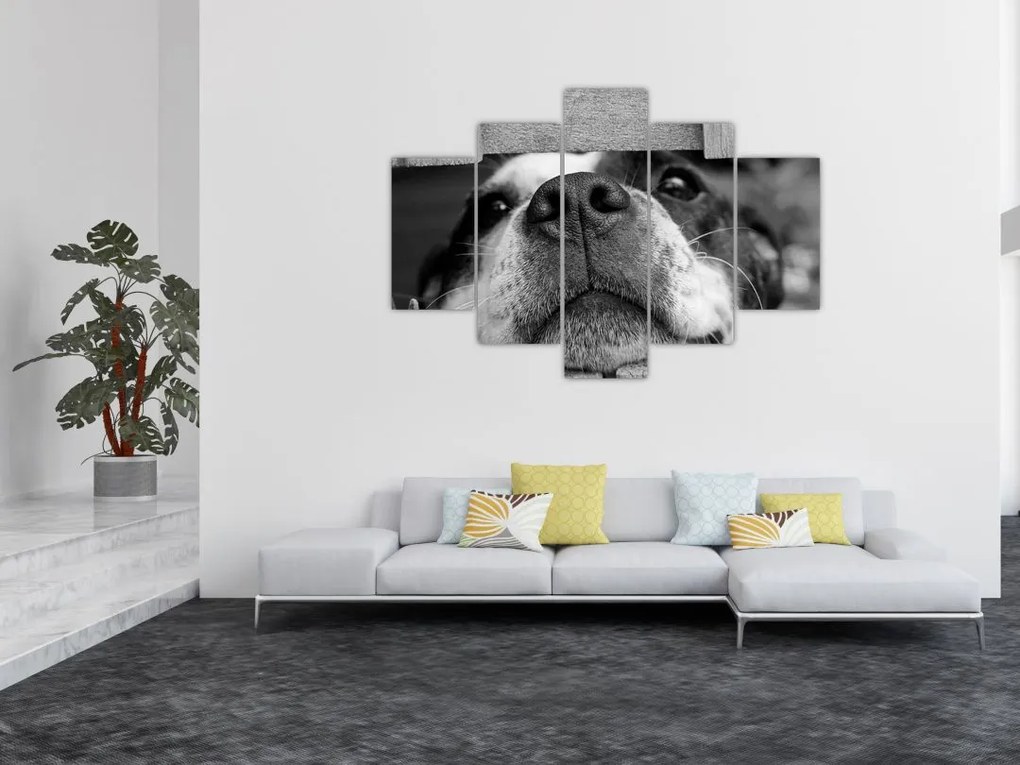 Tablou cu câine (150x105 cm)