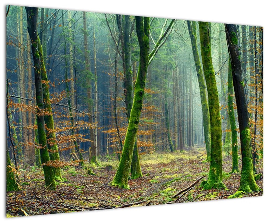 Tablou cu pădure (90x60 cm)