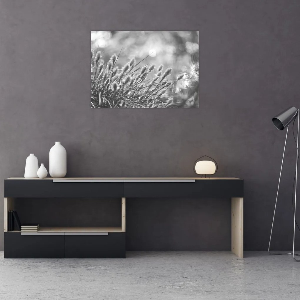 Tablou pe sticlă - Iarbă moale bej N⁰1 (70x50 cm)
