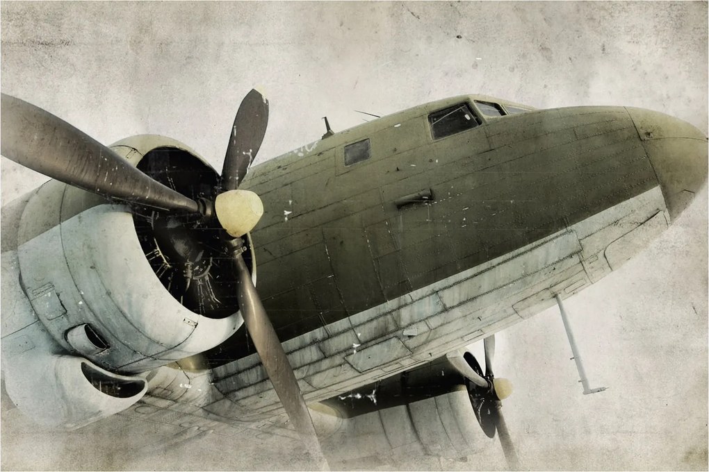 Tablou - Avion vechi cu elice (90x60 cm)