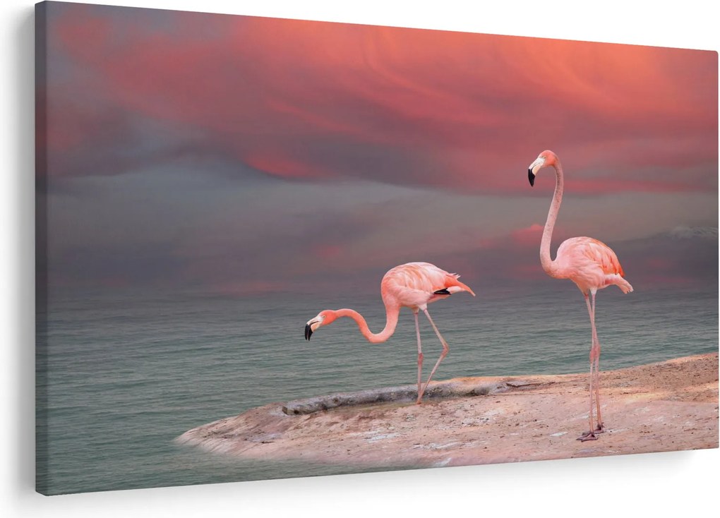 Tablou - Flamingo (90x60 cm)