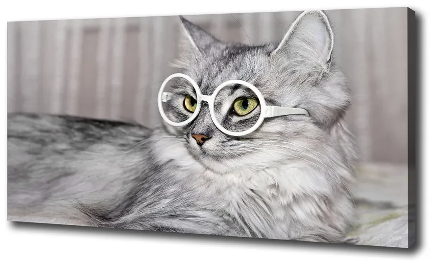 Tablou pe pânză canvas Cat cu ochelari