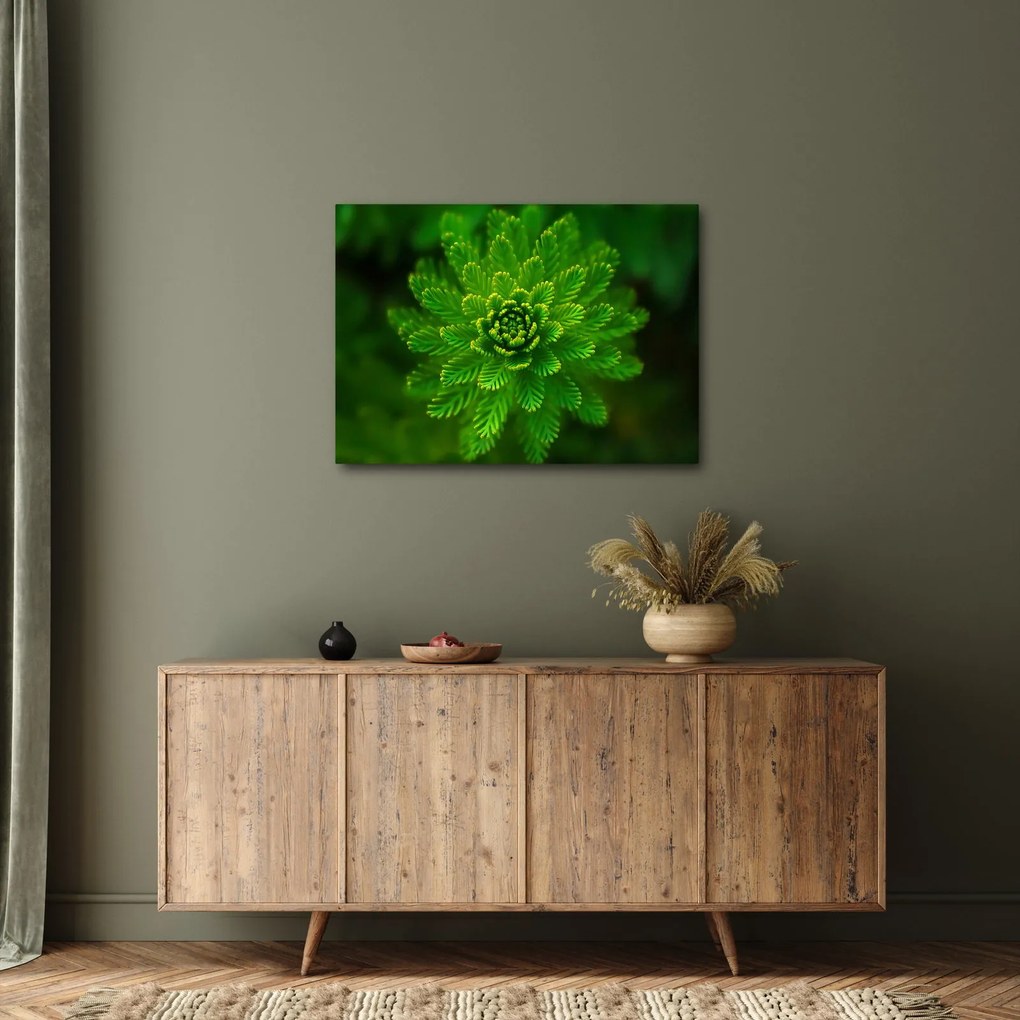 Tablou cu coniferi (70x50 cm)