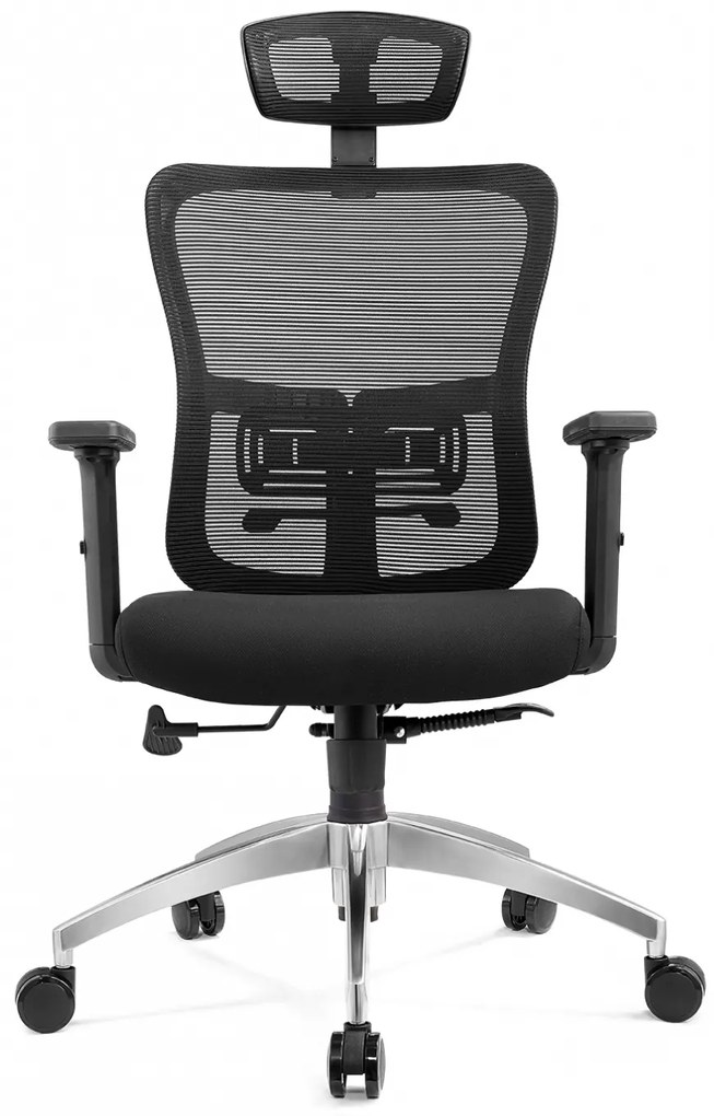 Scaun ergonomic Mila-H, spatar Mesh, Negru