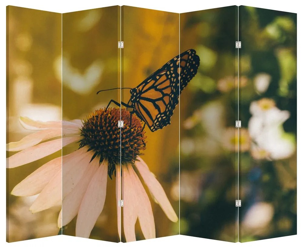 Paravan - Fluture pe floare (210x170 cm)