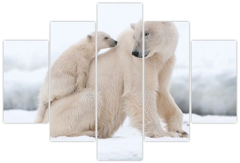 Tablou - Urs polar (150x105 cm)
