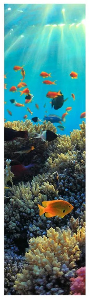 Fotojaluzele R012161R42150 (42x150 cm)