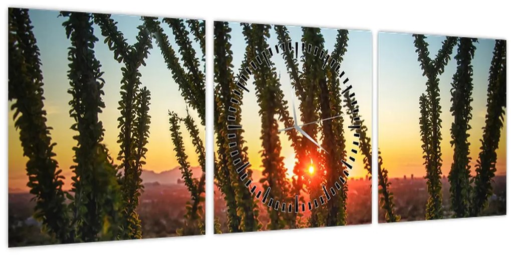 Tablou - Plante (cu ceas) (90x30 cm)