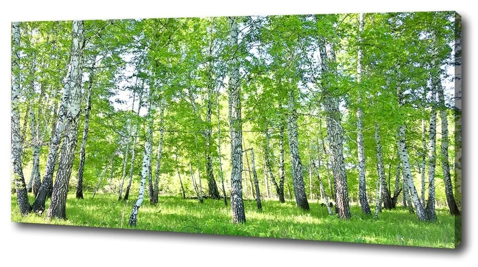 Imprimare tablou canvas Mesteceni