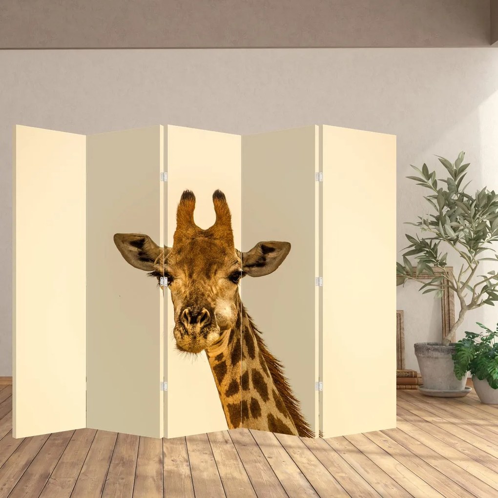 Paravan - Girafe (210x170 cm)
