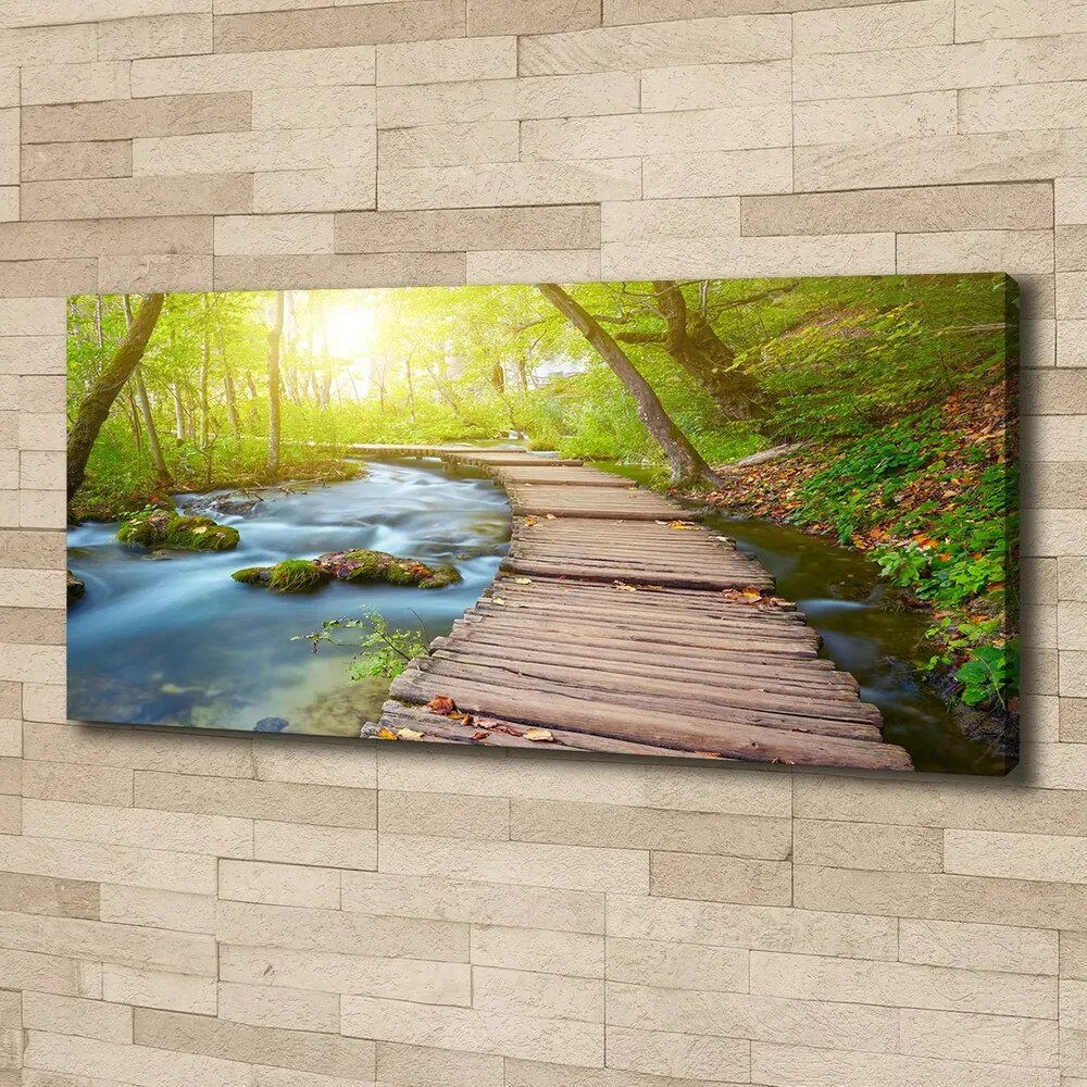 Tablou canvas Calea în pădure