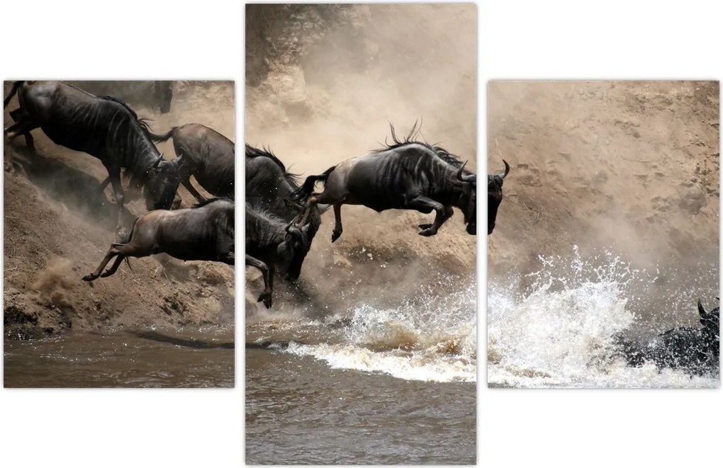 Tablou - Turmă de gnu (90x60 cm)