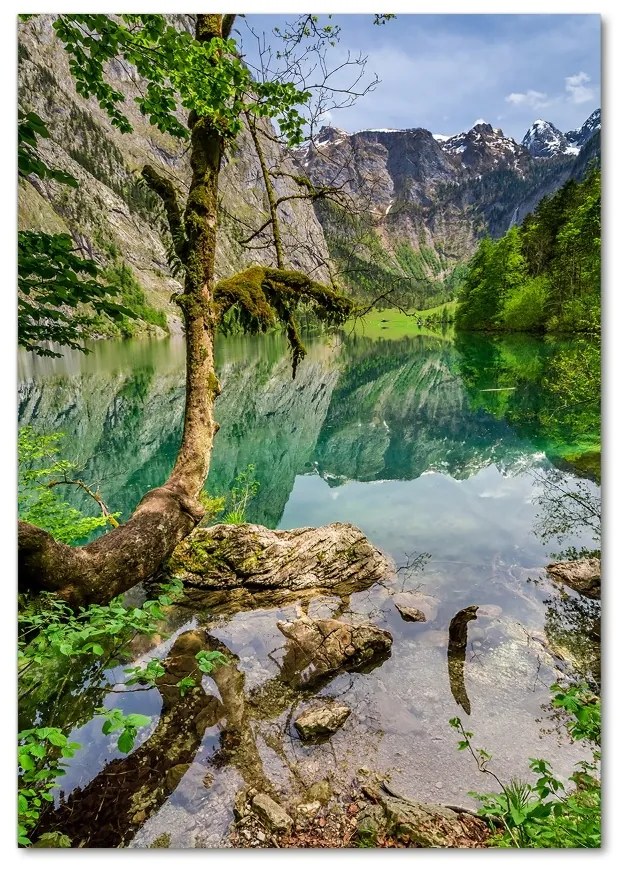 Tablou sticlă Lacul în munți