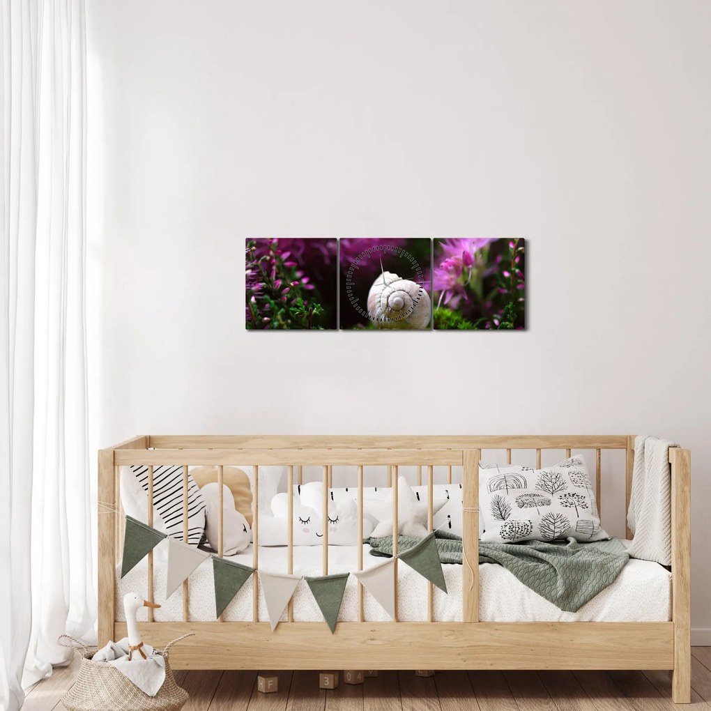 Tablou - Cochilie de melc (cu ceas) (90x30 cm)
