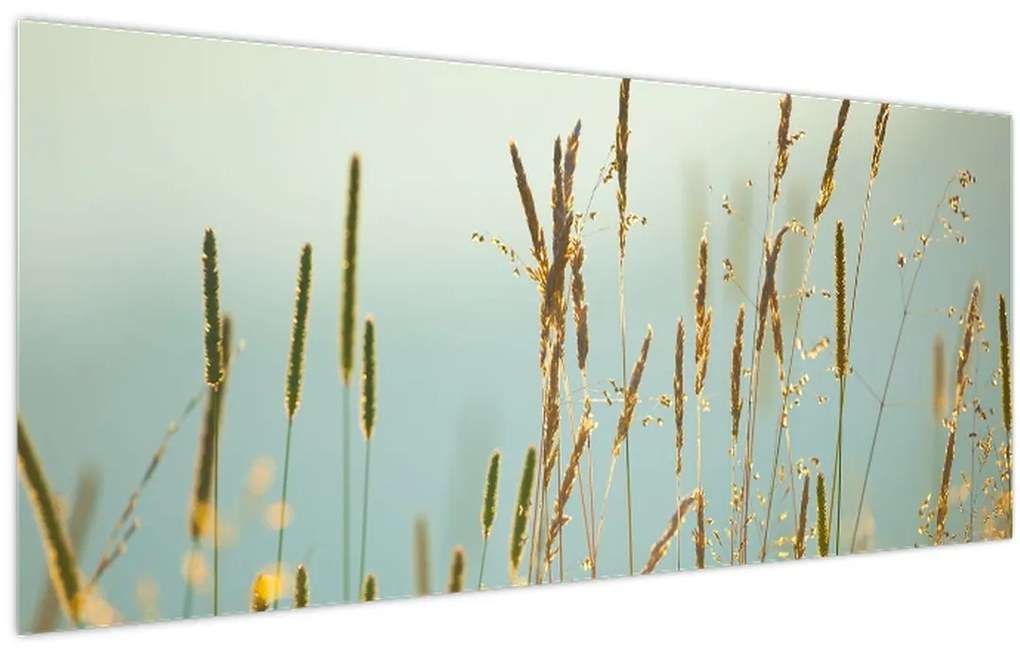 Tablou - Luncă (120x50 cm)