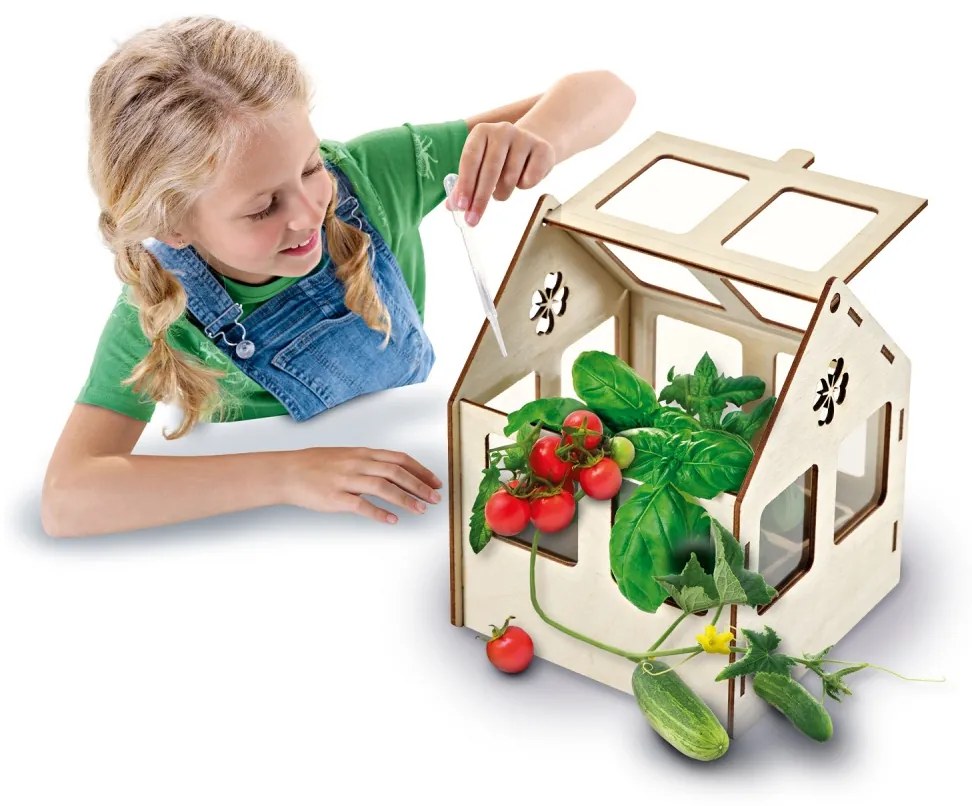 Set creativ - Sera de legume