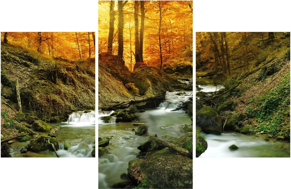 Tablou - Pădure (90x60 cm)