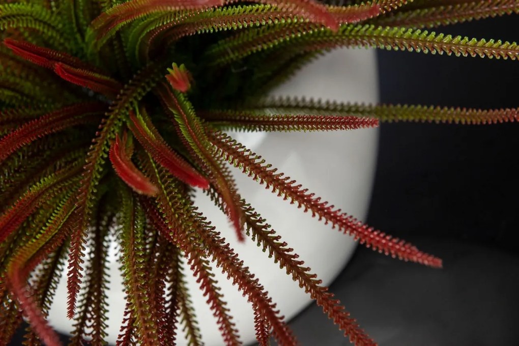 Aranjament floral mediu design LUX SLIMPINE BUSH