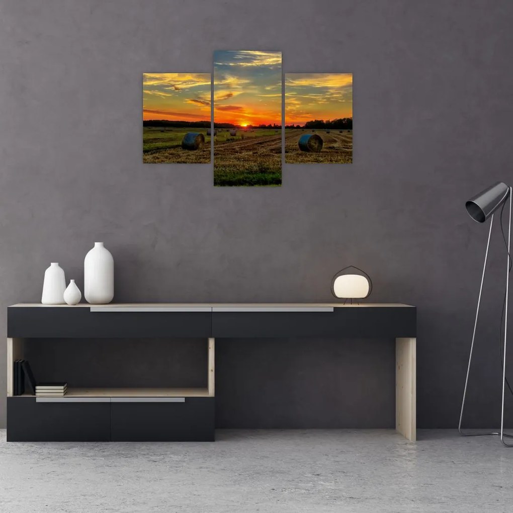 Tablou - Baloți din sat (90x60 cm)