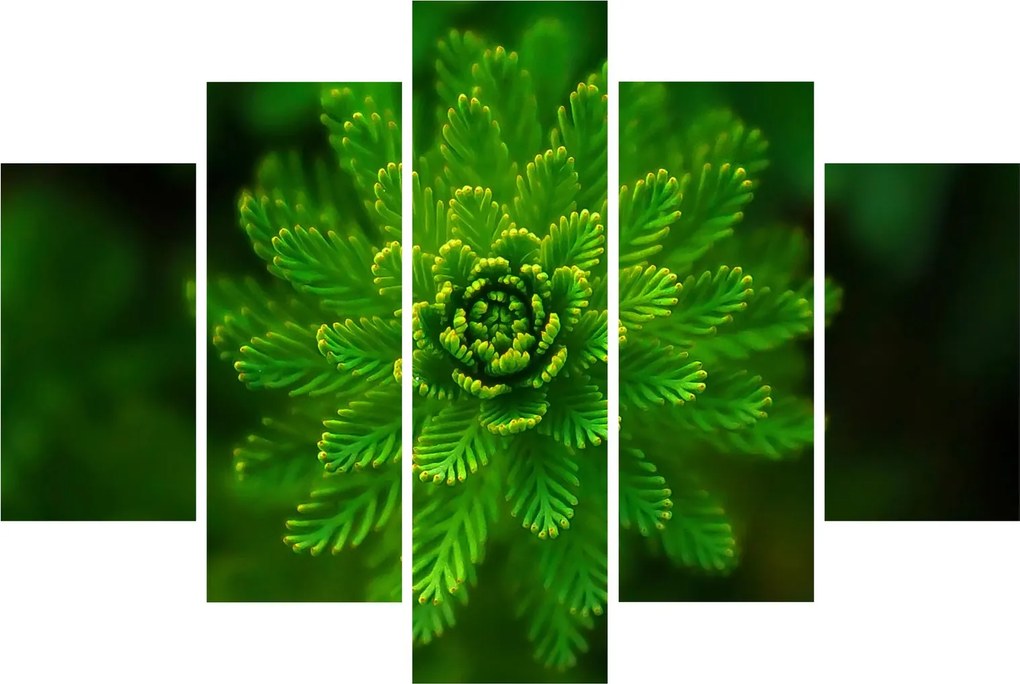 Tablou cu coniferi (150x105 cm)