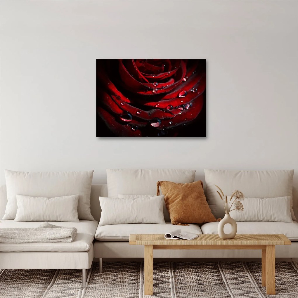 Tablou - Trandafir (70x50 cm)