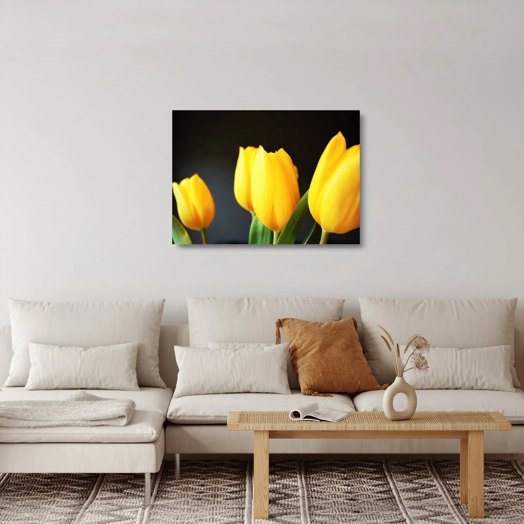 Tablou pe sticlă cu lalele (70x50 cm)