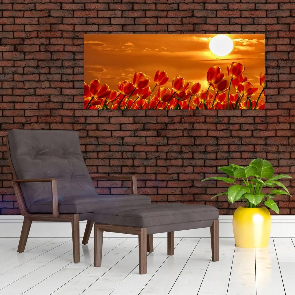 Tablou - lan înflorit de lalele (120x50 cm)