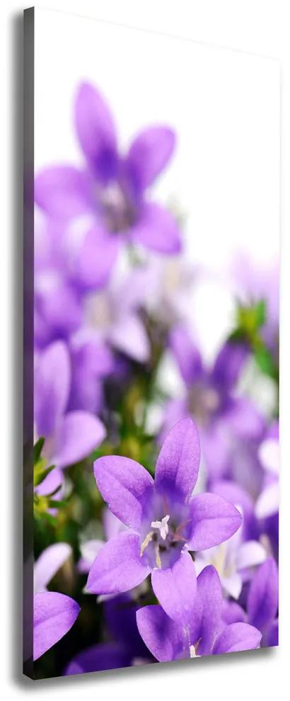 Tablou pe pânză canvas Clopote violet